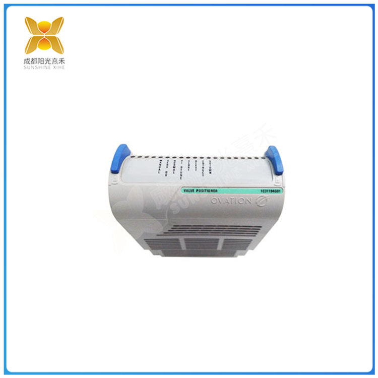 1C31194G01 液体为环境温度下的水,遵守适当的上游和下游距离,传感器插入适当深度 - 图片 3